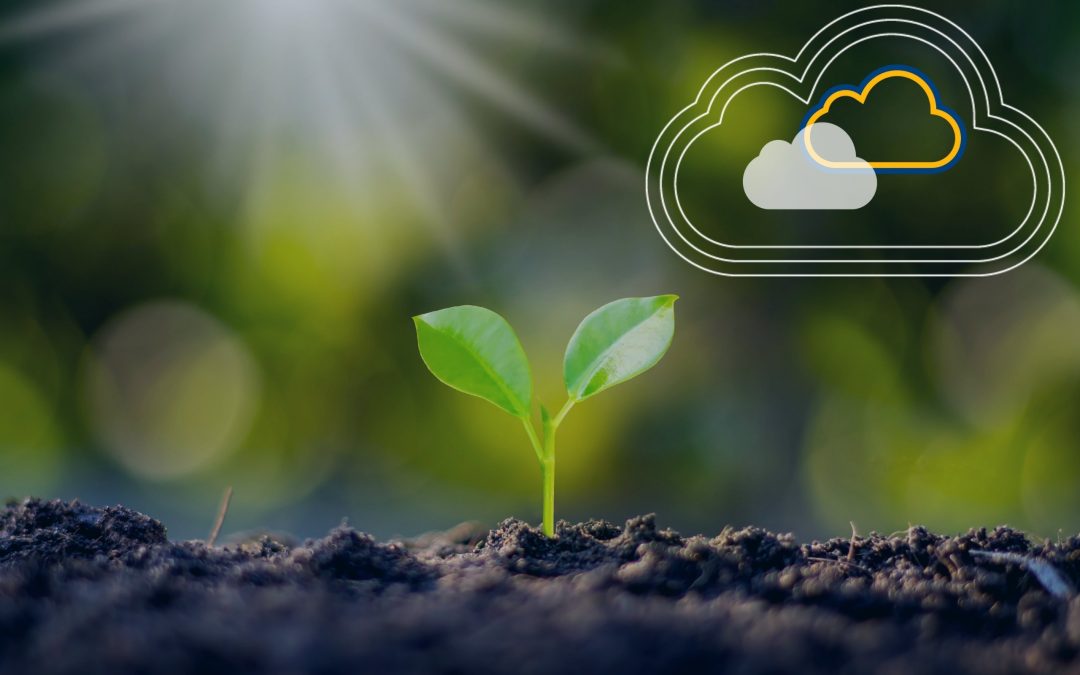 Business growth representation