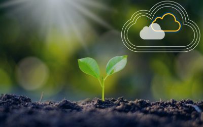 Beyond Productivity: Microsoft 365 as a Strategic Growth Platform 